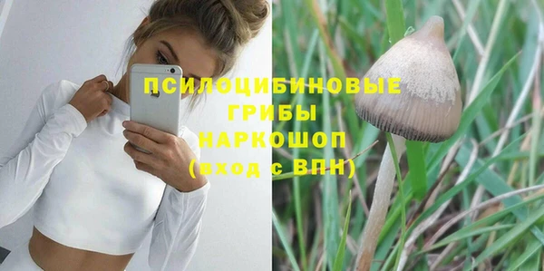 МДПВ Михайловка