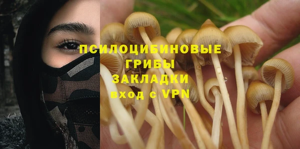 МДПВ Михайлов