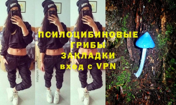 МДПВ Михайлов
