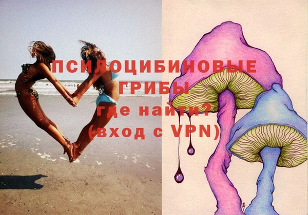 МДПВ Михайлов