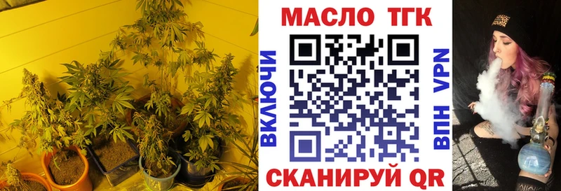 ТГК вейп с тгк  купить наркотики цена  МЕГА ТОР  Елизаветинская 