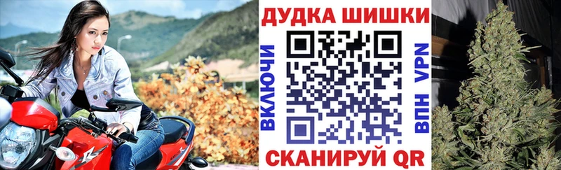 наркошоп  Елизаветинская  Бошки Шишки ГИДРОПОН 